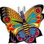 butterfly01