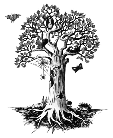 Loading Image