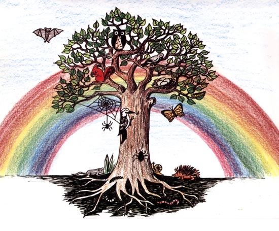 Loading Image