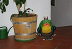 IMGP0010