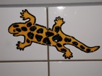 P9030041