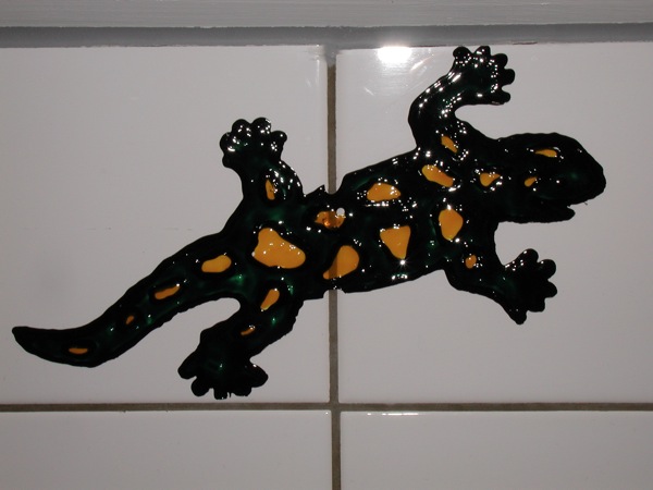 Loading Image