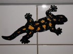 P9030042