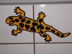 P9030041
