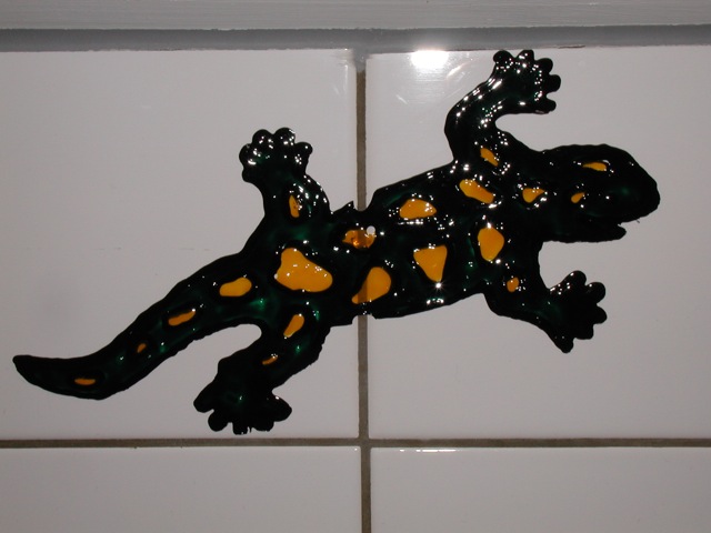 Loading Image
