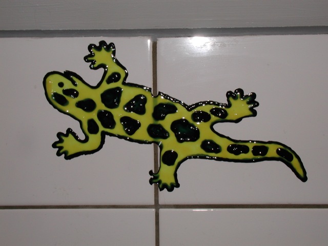 Loading Image
